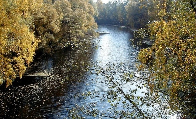 Iecava