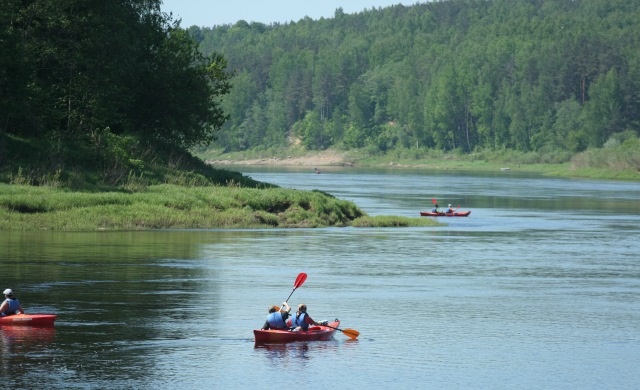Daugavas loki