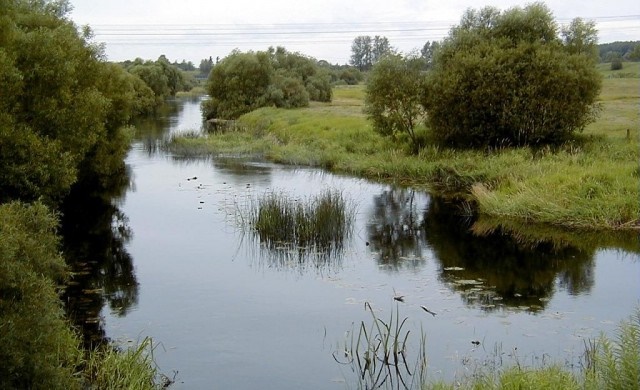 Rītupe