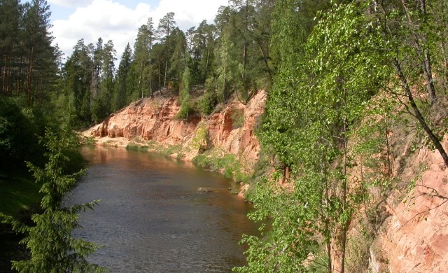 Salaca