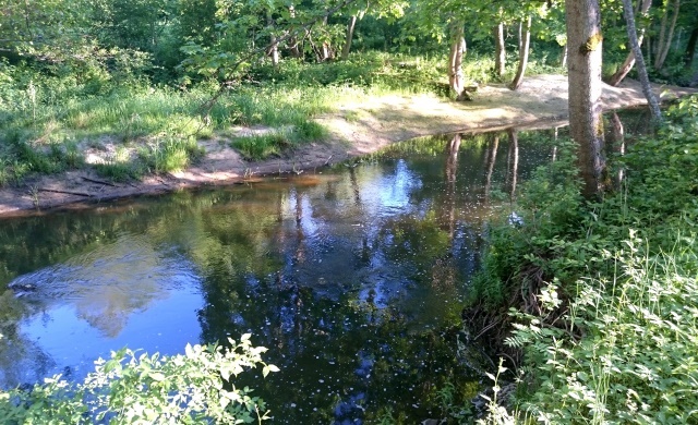 Rīva