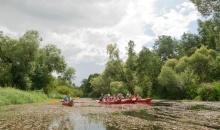 Dubna